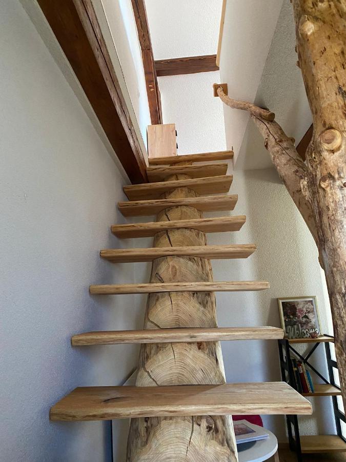 Ferienwohnung An Der Unditz 3 Neuried  Exteriör bild